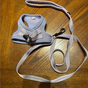 Adjustable Dog Harness and Leash Set - Purple